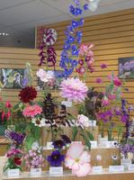 Eine wahre Blütenpracht