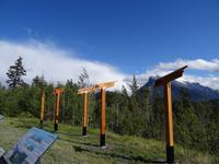 Blick auf den Mount Rundle