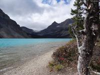 Bow Lake