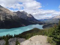 Peyto Lake