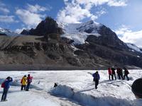 Columbia Icefield mit Athabasca Gletscher