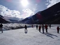 Columbia Icefield mit Athabasca Gletscher