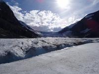 Columbia Icefield mit Athabasca Gletscher