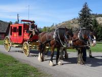 Auf der Hat Creek Ranch