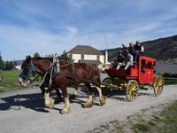Auf der Hat Creek Ranch