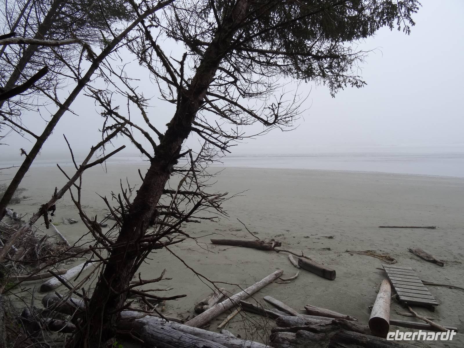 Am Combers Beach auf Vancouver Island
