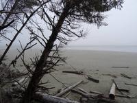 Am Combers Beach auf Vancouver Island