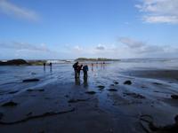 Am Wickanninish Beach