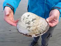 Am Wickanninish Beach