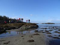 Am Wickanninish Beach