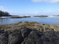 Am Wickanninish Beach