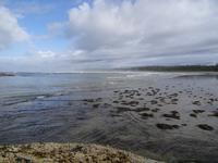 Am Wickanninish Beach