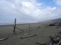 Am Wickanninish Beach