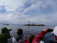 Auf Walbeobachtungstour