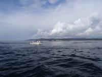 Auf Walbeobachtungstour