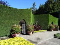 Butchart Gardens