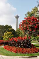 An den Niagara Fällen, Skylon Tower