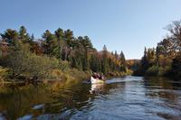 Kanutour im Algonquin Park