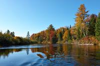 Kanutour im Algonquin Park