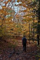 Kanutour im Algonquin Park