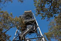 Dorset Lookout Tower