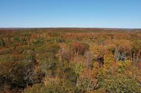 Blick vom Dorset Lookout Tower