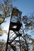 Dorset Lookout Tower