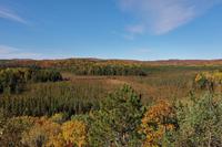 Blick vom Algonquin Besucherzentrum