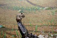 Algonquin Besucherzentrum