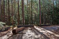 Im Holzfällermuseum