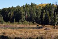 Im Holzfällermuseum