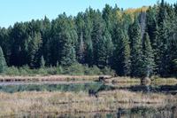 Im Holzfällermuseum