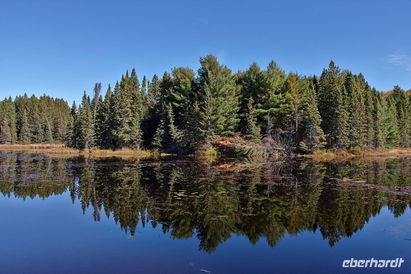 Im Holzfällermuseum