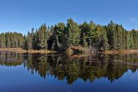 Im Holzfällermuseum