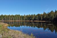 Im Holzfällermuseum