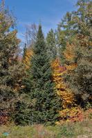 Unterwegs nach St-Michel-des-Saints