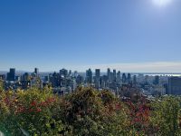 7. Tag – Montréal bis Lac Taureau – Stadtrundfahrt Montréal – Aussicht vom Mont Royal zur Innenstadt