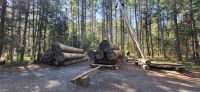 70  Logging Museum