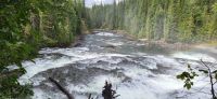 71 Dawson Falls 