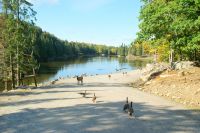 74 Omega Park