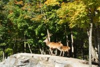 76 Omega Park