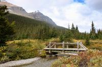 76. Bow Lake