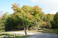 79  Indian Summer