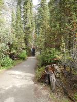 Parkanlage an den Takakkaw Falls