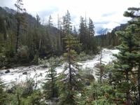 wilder Fluss an den Takakkaw Falls