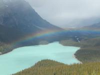 Regenbogen am Peyto Lake