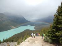 Regenbogen am Peyto Lake