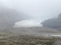 der Atabasca Gletscher