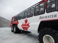 auf dem Columbia Icefield