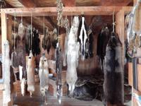 Tierfelle im Fort St. James